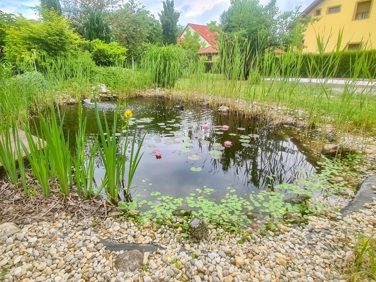 Ditlin Apartmanok Pápa Eksteriør bilde